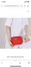 Load image into Gallery viewer, SS24 Accessories bee handbag.  bag
