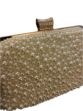 Load image into Gallery viewer, Pearl Clutch Soft Shell
